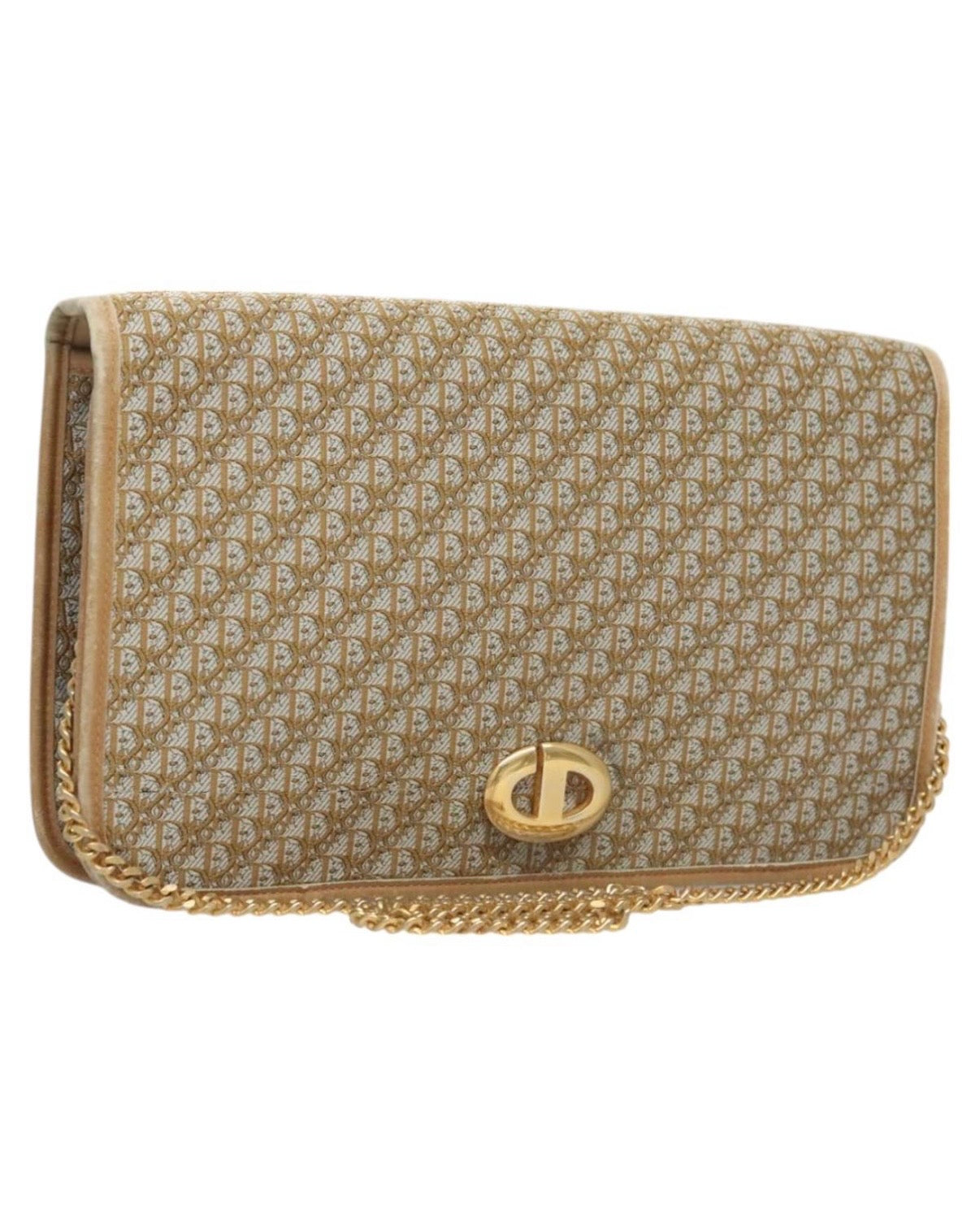 Christian Dior Trotter Canvas Chain Shoulder Bag