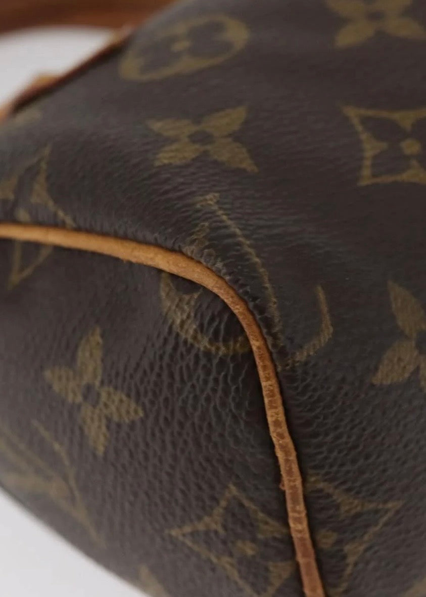 Louis Vuitton Monogram Mini Speedy Hand Bag