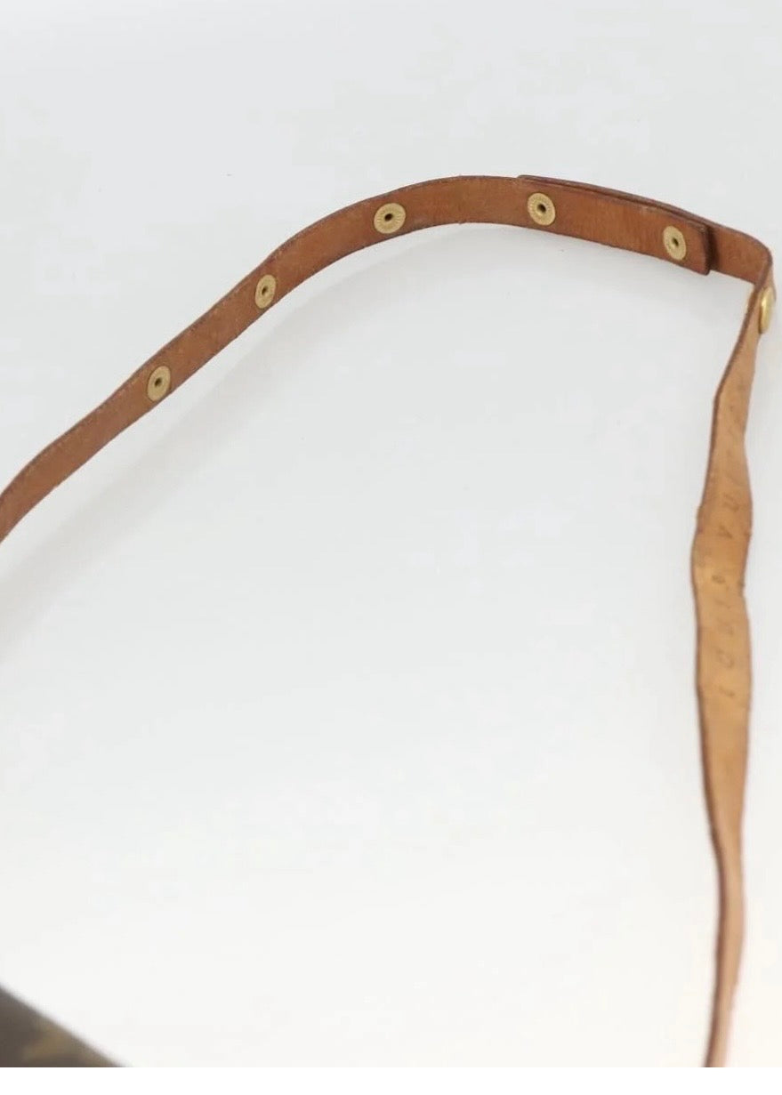 Louis Vuitton Monogram Pochette Florentine Waist Bag
